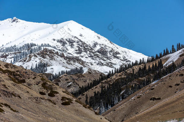 指已提到的人雪山关于天山