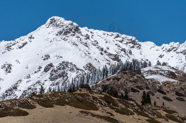 指已提到的人雪山关于天山