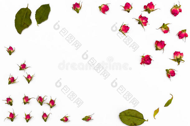 框架为文本从小的干的干燥的玫瑰花和树叶向一白色的