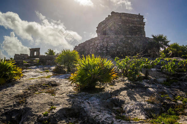 图卢姆古代的幻境考古学的地点采用尤卡坦半岛墨西哥