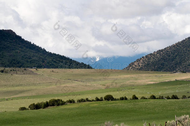 <strong>风景</strong>地点关于牧<strong>草地</strong>陆地,羊放牧.<strong>风景</strong>方位