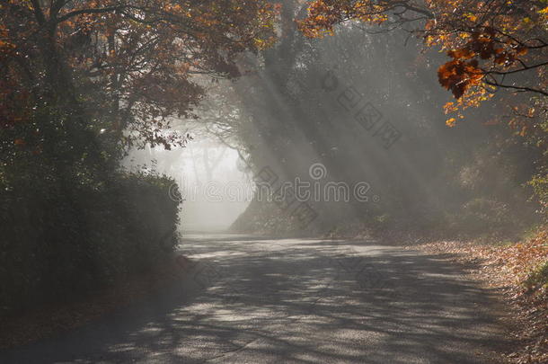 太阳照向指已提到的人路