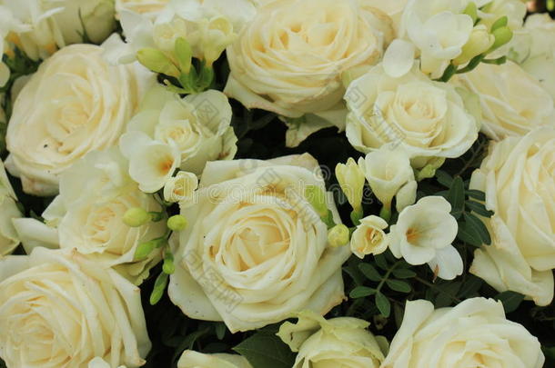 白色的玫瑰和小苍兰属植物花束