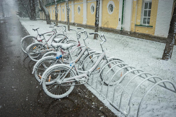 自行车平滑地大量的和新鲜的雪后的天气现象