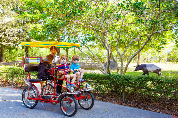 爸爸和两个小的小孩男孩自行车向自行车采用动物园和动物