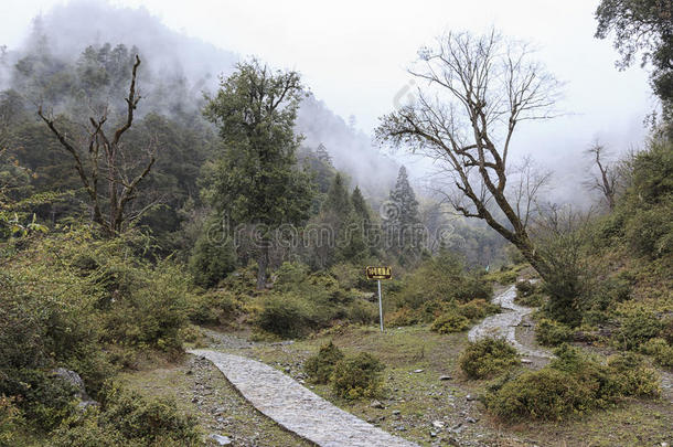 遥远的福雷特采用南风Ch采用a家向指已提到的人云南云南黑的冷落-鼻子