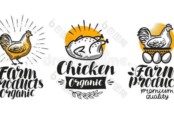 鸡,母鸡标签放置.家禽农场,鸡蛋,肉,争吵者,小母鸡