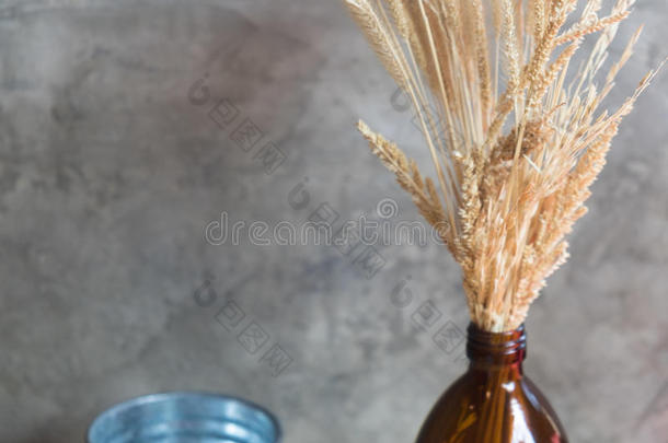 干燥的金色的稻树向玻璃瓶子