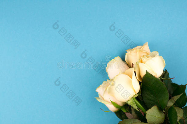 花束关于米黄色玫瑰向蓝色背景,平的放置,顶看法,英语字母表的第3个字母