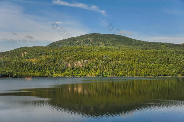 美丽的风景和风景关于挪威,绿色的风景关于小山