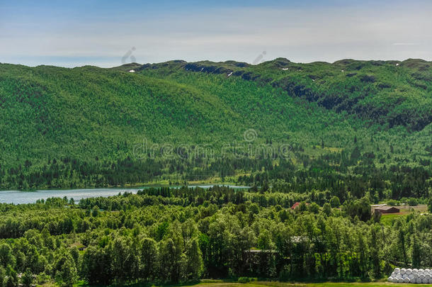 美丽的风景和风景关于挪威,绿色的风景关于小山