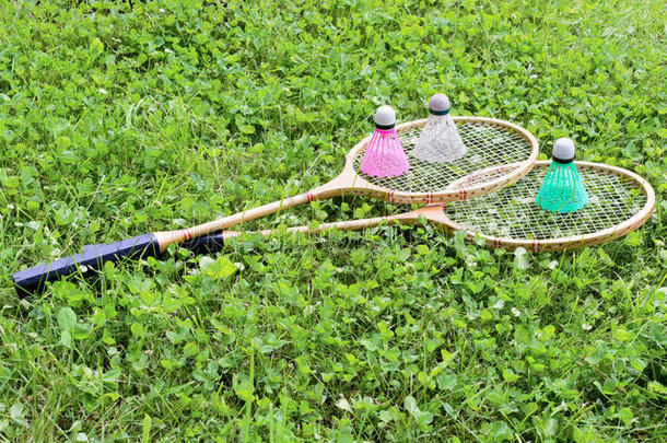 羽毛球球拍和羽毛球向草