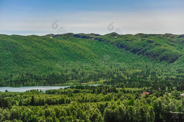美丽的风景和风景关于挪威,绿色的风景关于小山