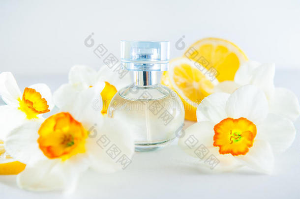 圆的香水瓶子被环绕着的在旁边新鲜的黄水仙花一