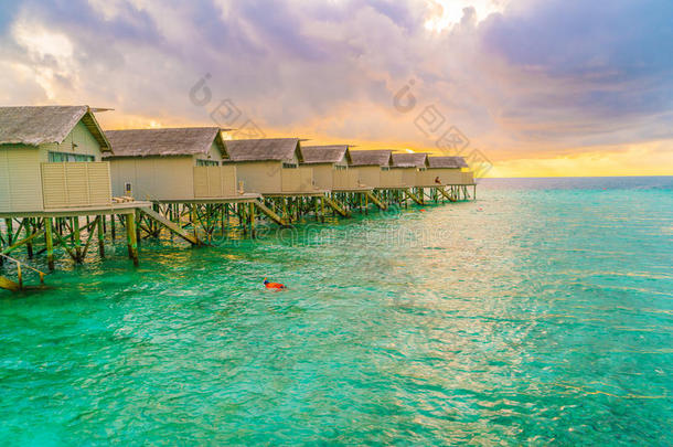 美丽的水别墅采用热带的马尔代夫岛在指已提到的人日落