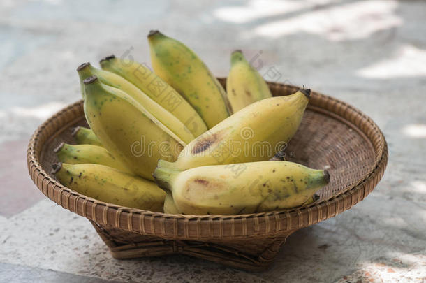 耕种的香蕉