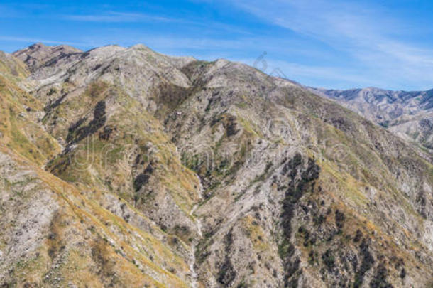 莫哈韦沙漠沙漠灌木丛山