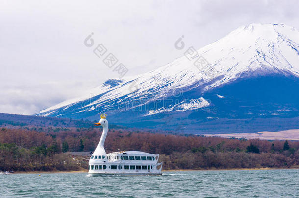 <strong>山</strong>中湖和紫藤登上<strong>背景</strong>和天鹅<strong>小船</strong>