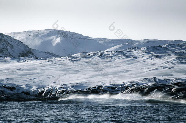 海巴伦支海海采用北极的洋