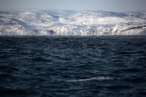 海巴伦支海海采用北极的洋