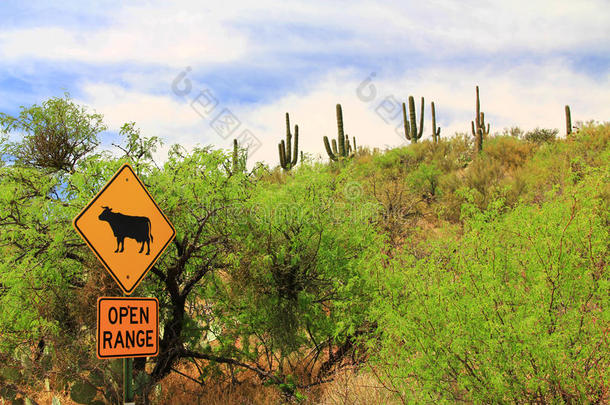 敞开的范围牛警告采用亚利桑那州