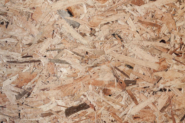 木材质地板使从块关于森林补缀品关于生的求爱