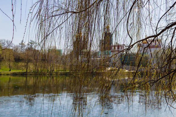 诺沃德维希女修道院,看法从指已提到的人波肖伊诺沃德维希池塘.生态种群