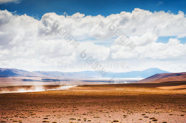 风景关于指已提到的人高原高原,玻利维亚条子毛绒