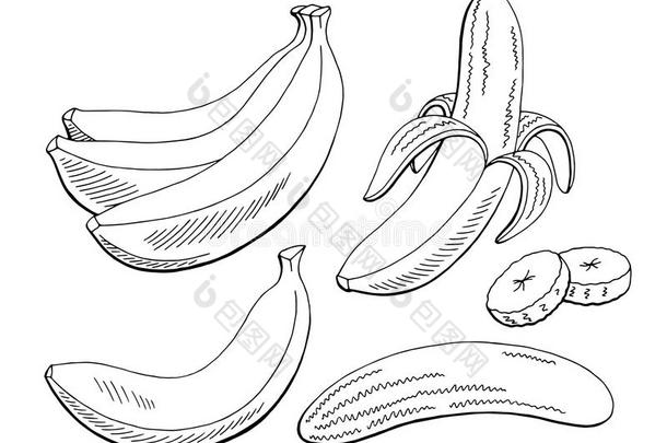 香蕉成果图解的黑的白色的隔离的草图说明