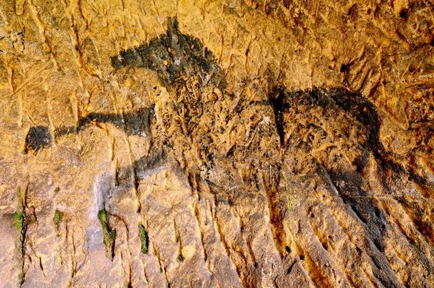 发现关于史前的颜料关于马采用<strong>砂岩</strong>洞穴.波普尔