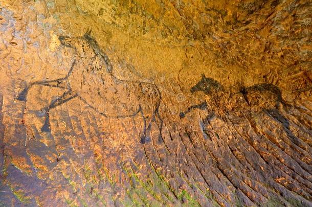 发现关于史前的颜料关于马采用砂岩洞穴.波普尔