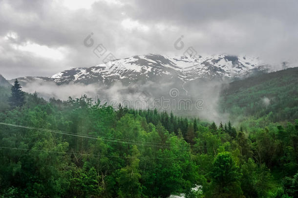 美丽的风景和风景看法关于挪威,绿色的风景关于