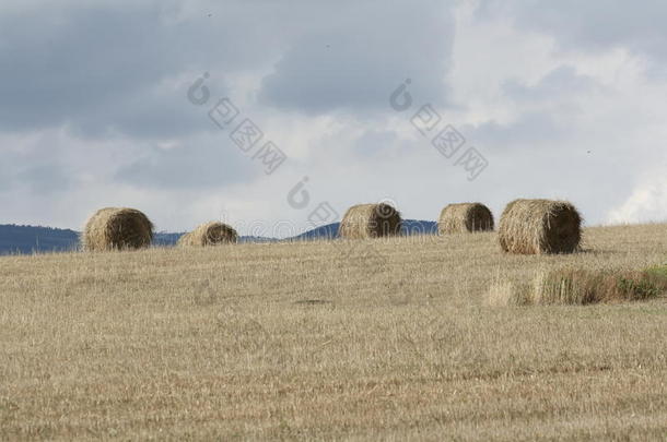 干草堆采用法国的乡村,比利牛斯山脉Orientales-lapatriaolatumba东方同胞采用法国