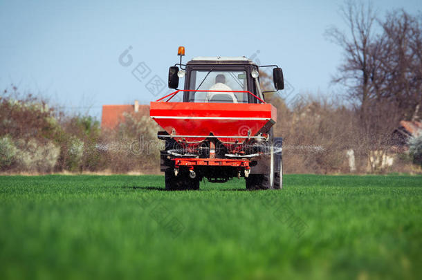 拖拉机施肥采用小麦田