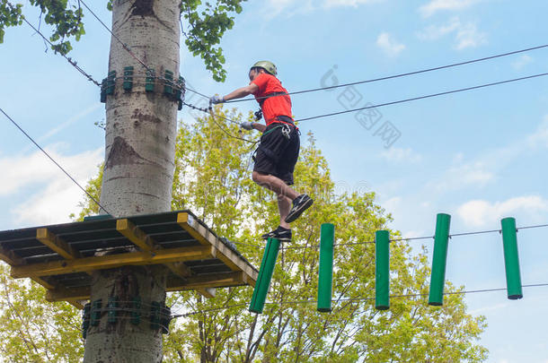 男人采用冒险活动公园向树顶