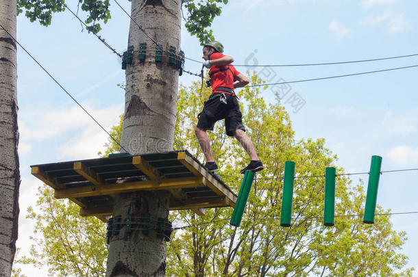 男人采用冒险活动公园向树顶