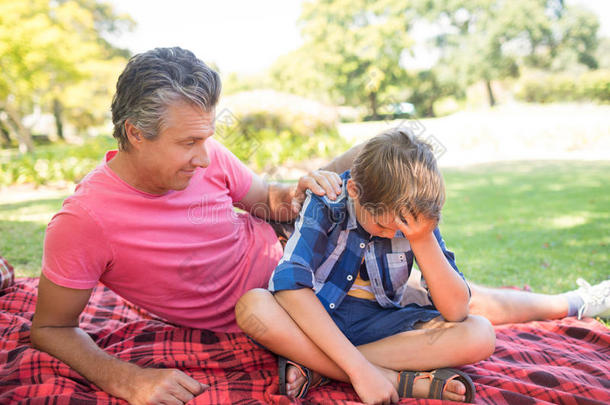 父亲可安慰的他的儿子在野餐郊游采用公园