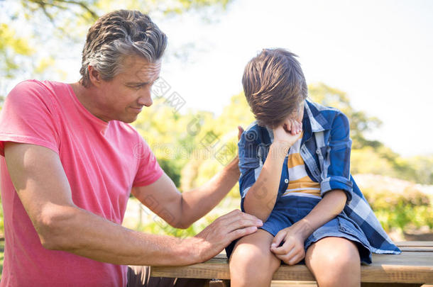 父亲可安慰的他的儿子在野餐郊游采用公园
