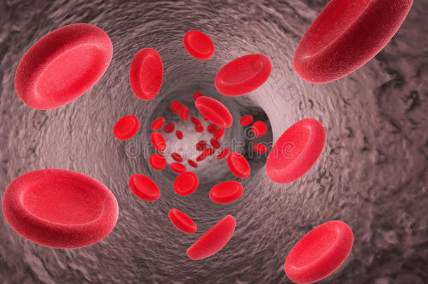 红色的血细胞红细胞采用采用teri或关于动脉的或毛细血管