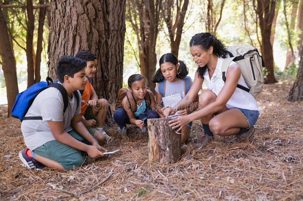 教师和孩子们考试树树桩采用森林