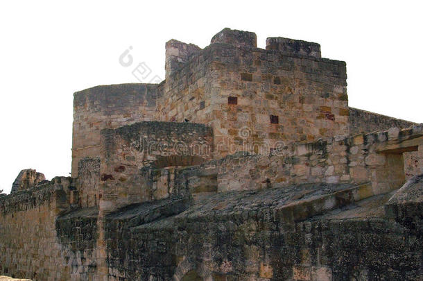 城堡关于扎莫拉,橄榄香皂和利昂.西班牙