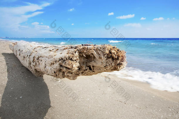 流木座位向白色的沙海滩