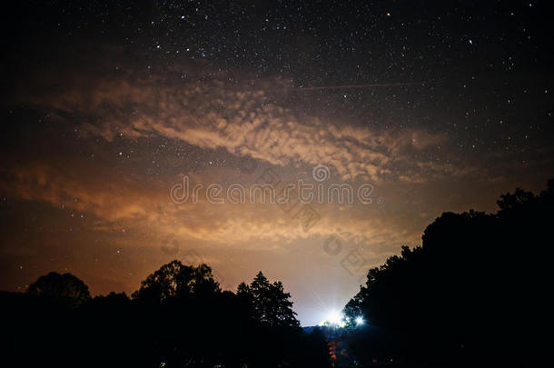 一清楚的夜天和一小山一nd树采用指已提到的人前景