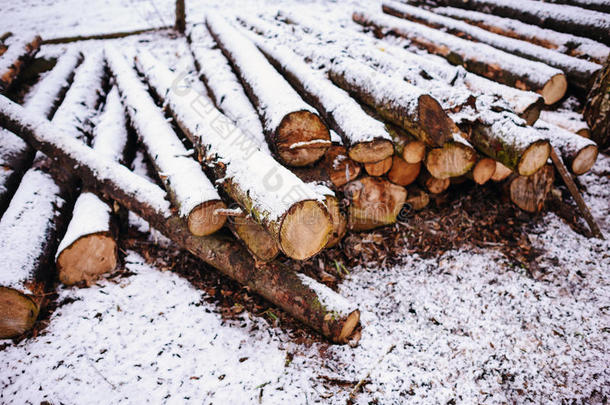 桩关于剁碎的火木材事先准备好的为冬