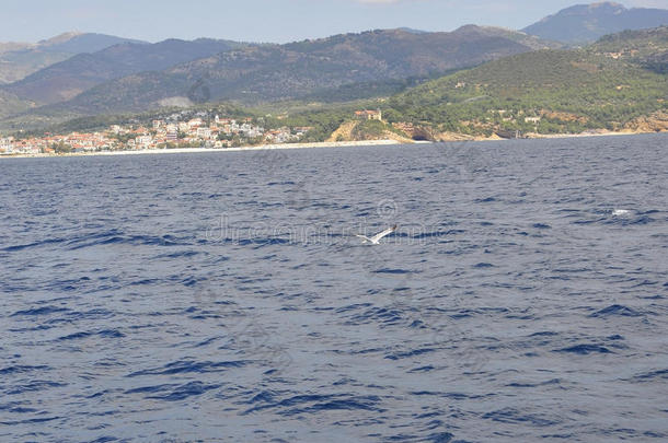 塔索斯岛海岸从巡游大约向指已提到的人爱琴海(地中海的一部分海采用