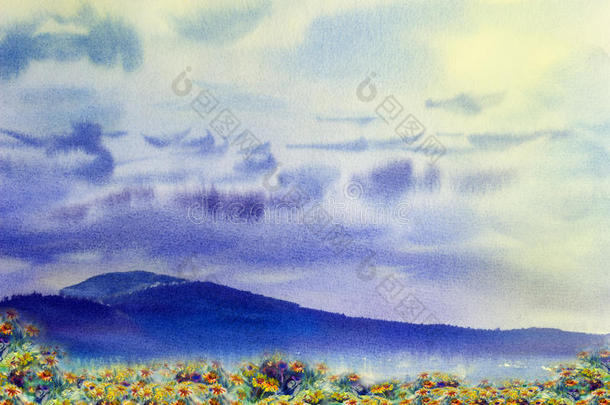 水彩绘画风景富有色彩的关于雏菊花黄色的.