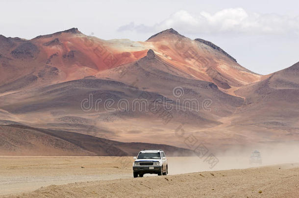 在国外汽车在达利沙漠采用玻利维亚条子毛绒