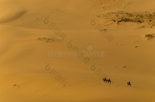 孤独的骆驼骑手采用指已提到的人<strong>戈壁沙漠</strong>