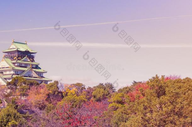 大阪城堡和蓝色美丽的天和树采用大阪公园在