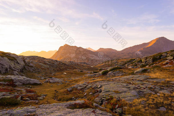 阿尔卑斯山的草地和牧草地放置在中间高的高度山范围